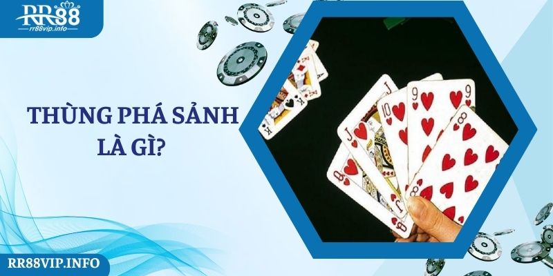 Thùng Phá Sảnh Là Gì Và Những Thông Tin Liên Quan Tại RR88